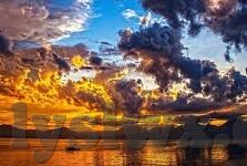 动画伦理片-动画伦理片的艺术与道德探索