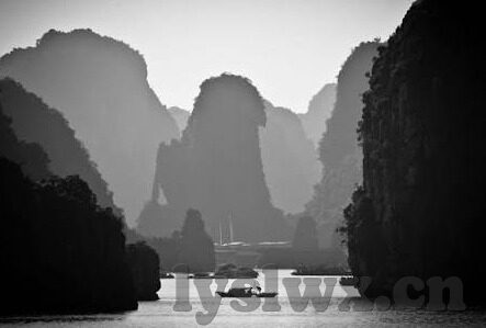 里番 人妻-探索人性与伦理的灰色地带，里番文化与人妻角色的复杂面貌
