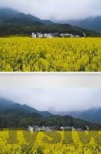 麻豆传媒视频app免费-警惕网络陷阱，免费背后的暗流涌动——麻豆传媒视频app的真相