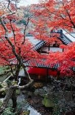 日本成人在线电影视频-探索成人娱乐文化的多元视角，日本成人在线电影视频的背后