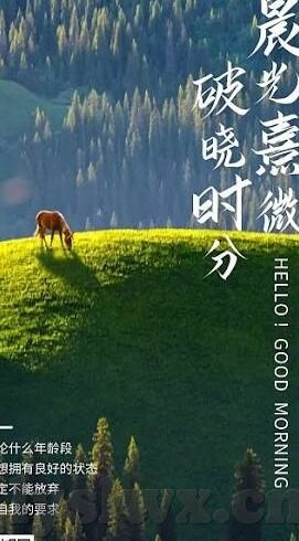 日韩av不卡二区-日韩AV不卡二区，网络内容消费的理性审视