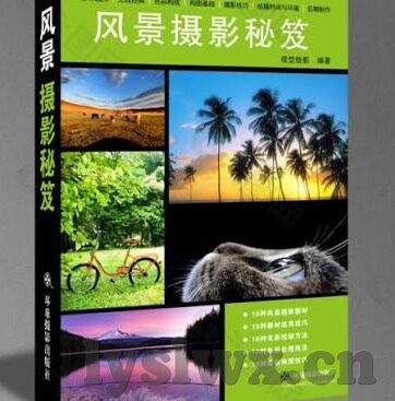 糖心视频app官方下载最新-探索糖心视频app的魅力，一键直达精彩瞬间