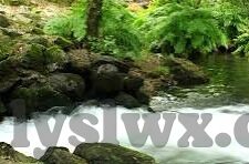 糖心视频APP下载苹果-移动视界，揭秘糖心视频APP下载在苹果设备上的便利与风险