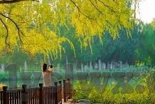 糖心vlog金善雅下载-糖心Vlog-金善雅的魅力之旅