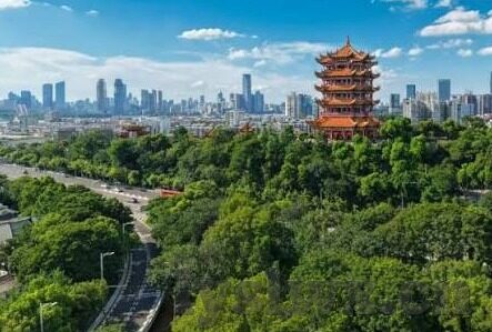 糖心vlog破解版下载ios-探索解锁生活精彩，糖心Vlog的IOS版奇妙之旅